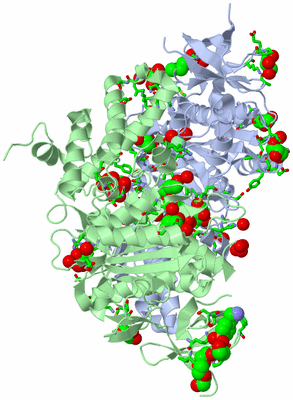 Image Asym./Biol. Unit - sites