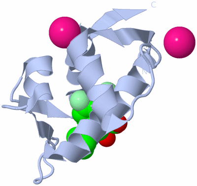 Image Biological Unit 1