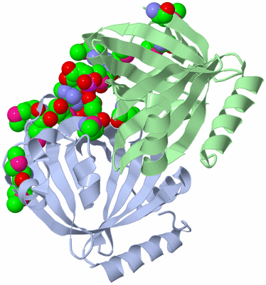 Image Biological Unit 1