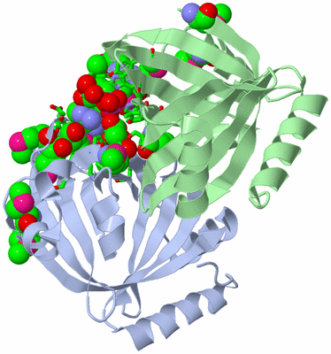 Image Biol. Unit 1 - sites