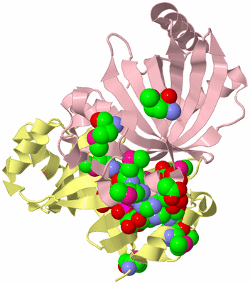 Image Biological Unit 2