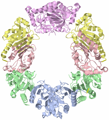 Image Biological Unit 1