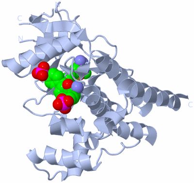 Image Biological Unit 1