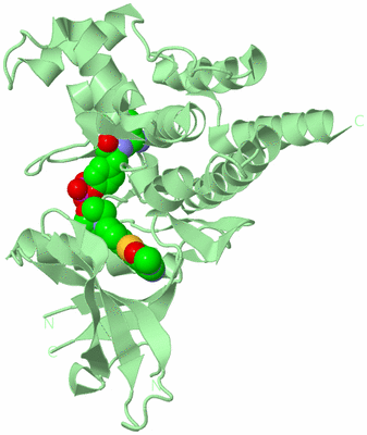 Image Biological Unit 2