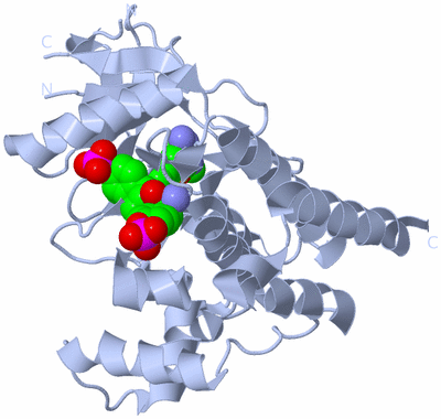 Image Biological Unit 1