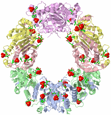 Image Biol. Unit 1 - sites