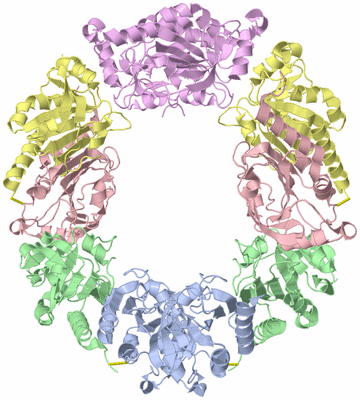 Image Biological Unit 1