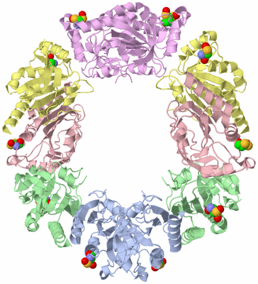 Image Biological Unit 1