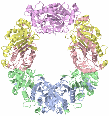 Image Biological Unit 1