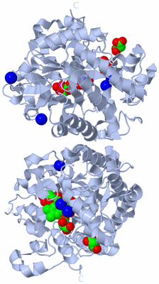 Image Biological Unit 1