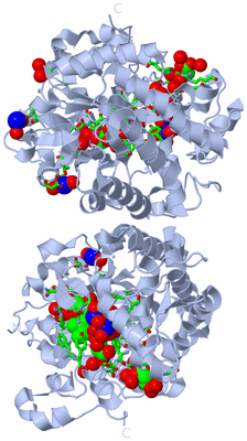 Image Biol. Unit 1 - sites