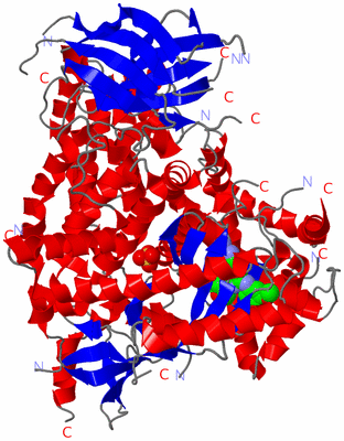 Image Asym./Biol. Unit