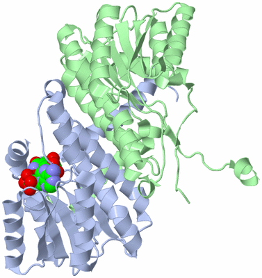 Image Asym./Biol. Unit
