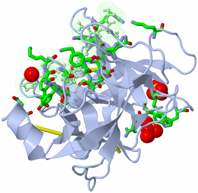 Image Asym./Biol. Unit - sites