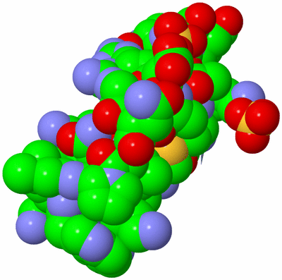 Image Biological Unit 1