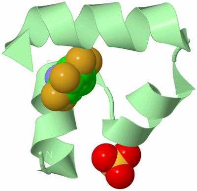 Image Biological Unit 2