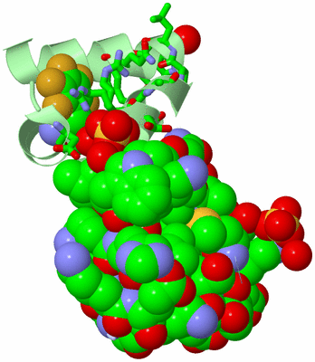 Image Asym. Unit - sites