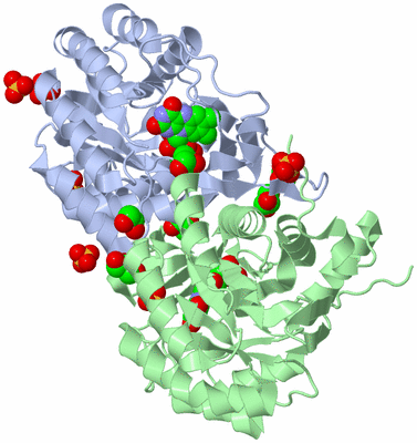 Image Asym./Biol. Unit