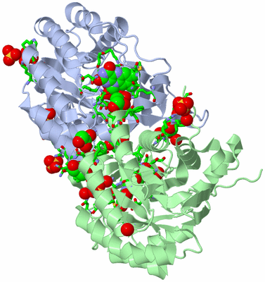 Image Asym./Biol. Unit - sites