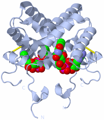 Image Biological Unit 1