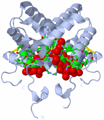 Image Biol. Unit 1 - sites