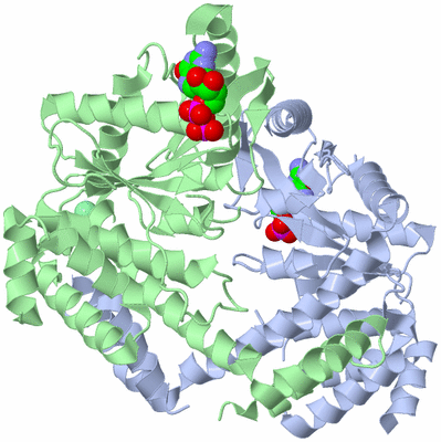 Image Asym./Biol. Unit