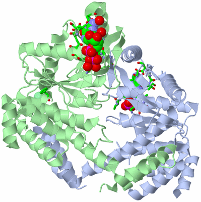 Image Asym./Biol. Unit - sites