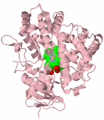 Image Biological Unit 3