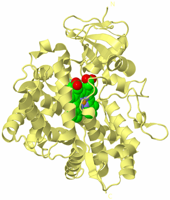 Image Biological Unit 4