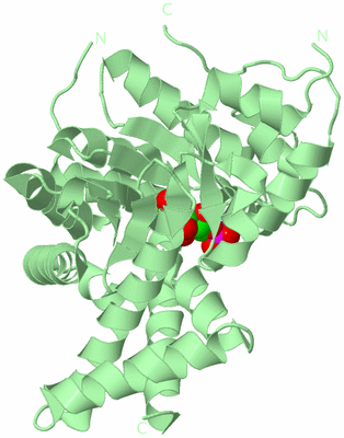 Image Biological Unit 2