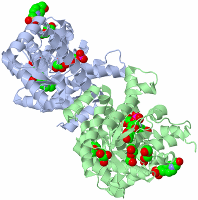 Image Asym./Biol. Unit