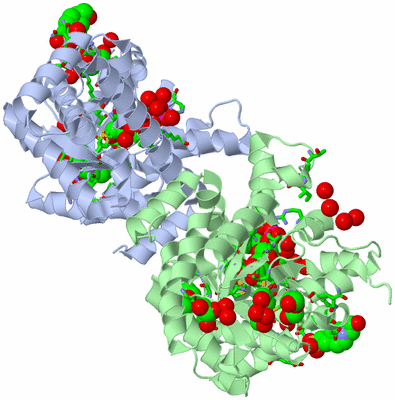 Image Asym./Biol. Unit - sites