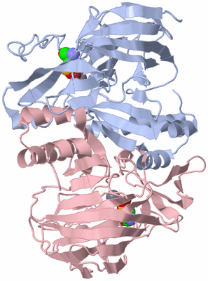 Image Biological Unit 1