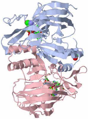 Image Biol. Unit 1 - sites