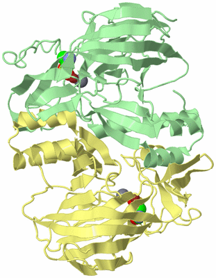 Image Biological Unit 2