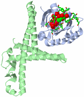 Image Asym./Biol. Unit - sites