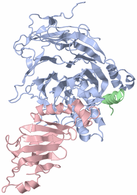 Image Biological Unit 1