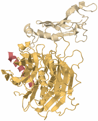 Image Biological Unit 3