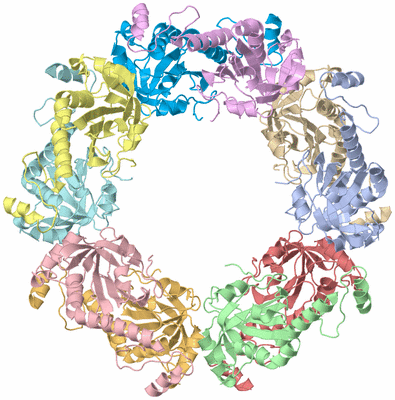 Image Asym./Biol. Unit