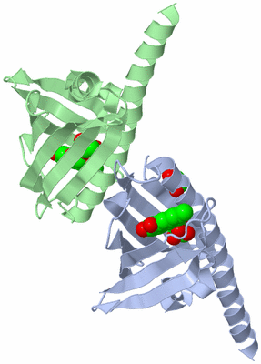 Image Asymmetric Unit