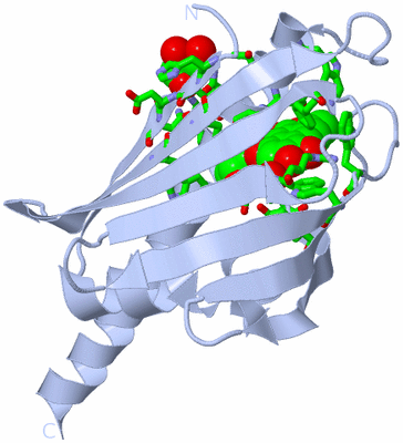 Image Biol. Unit 1 - sites