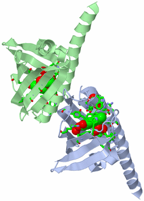 Image Asym. Unit - sites