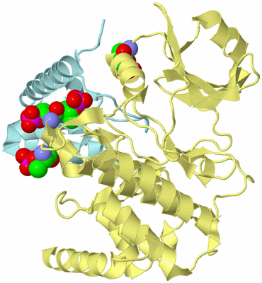 Image Biological Unit 2