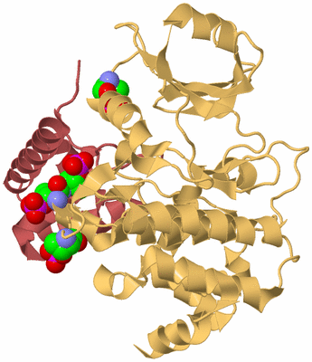 Image Biological Unit 3