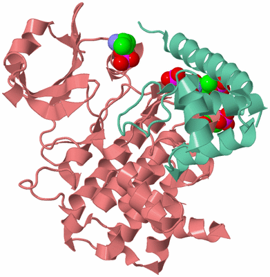 Image Biological Unit 4