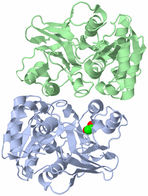 Image Asym./Biol. Unit