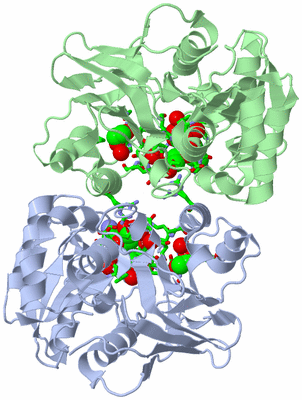 Image Asym./Biol. Unit - sites