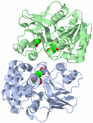 Image Asym./Biol. Unit