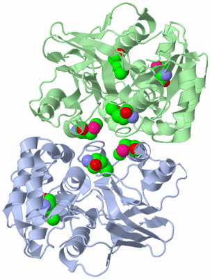 Image Asym./Biol. Unit