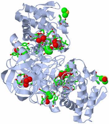 Image Biol. Unit 1 - sites